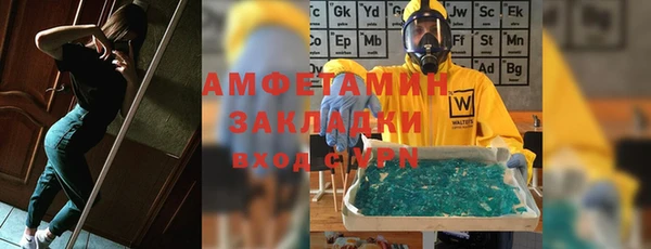 ГАЛЛЮЦИНОГЕННЫЕ ГРИБЫ Бородино