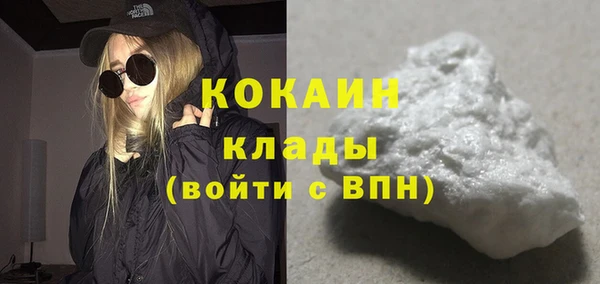 ГАЛЛЮЦИНОГЕННЫЕ ГРИБЫ Бородино
