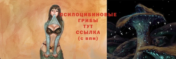 тгк Бугульма