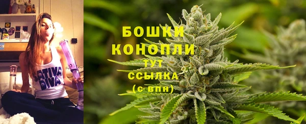 ГАЛЛЮЦИНОГЕННЫЕ ГРИБЫ Бородино