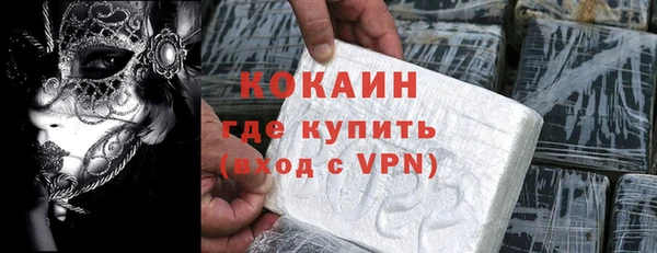 ГАЛЛЮЦИНОГЕННЫЕ ГРИБЫ Бородино