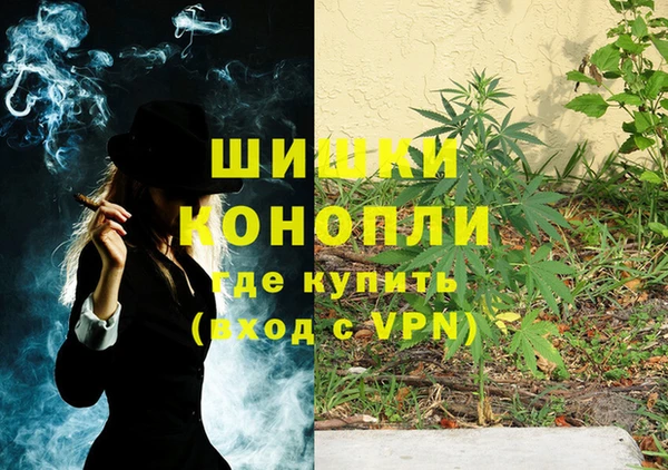ГАЛЛЮЦИНОГЕННЫЕ ГРИБЫ Бородино
