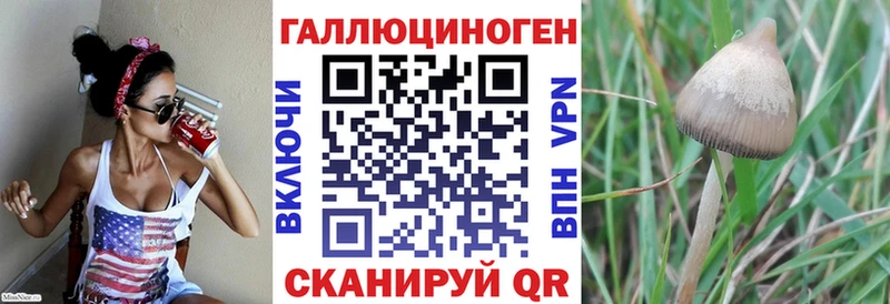 Псилоцибиновые грибы прущие грибы  Дивногорск 